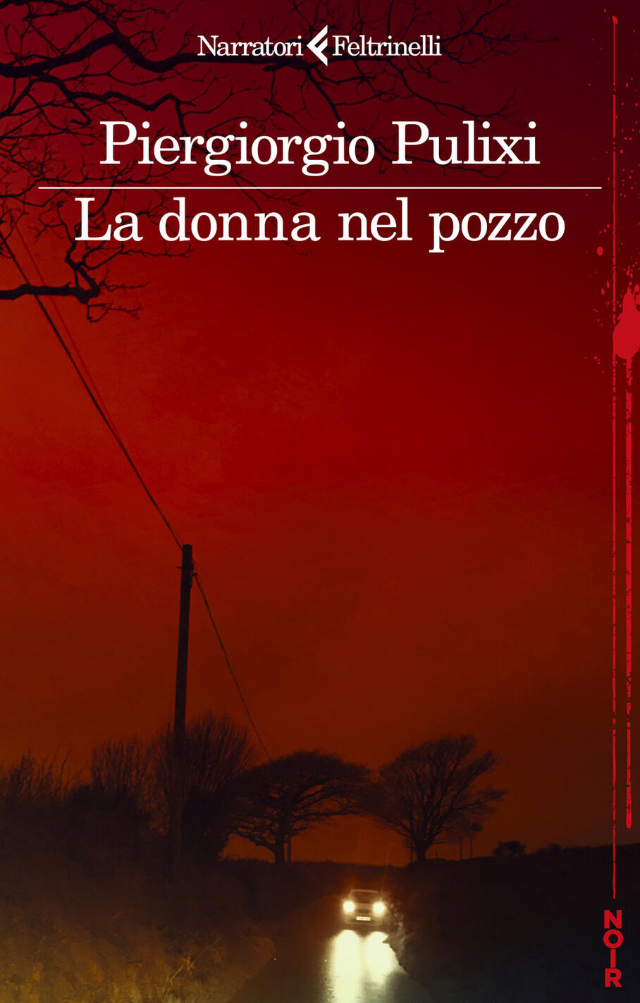 la donna nel pozzo